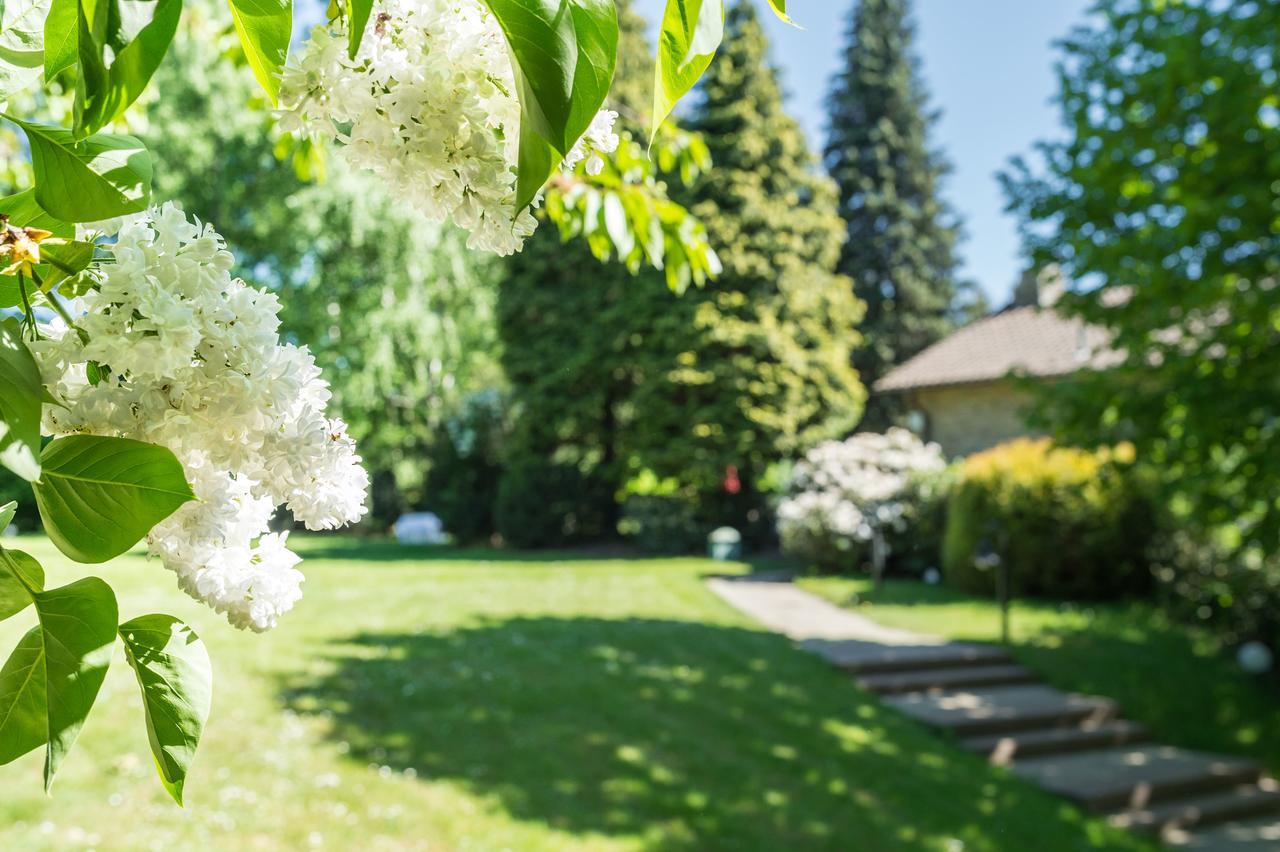 Parkhotel Stadtallendorf Zewnętrze zdjęcie