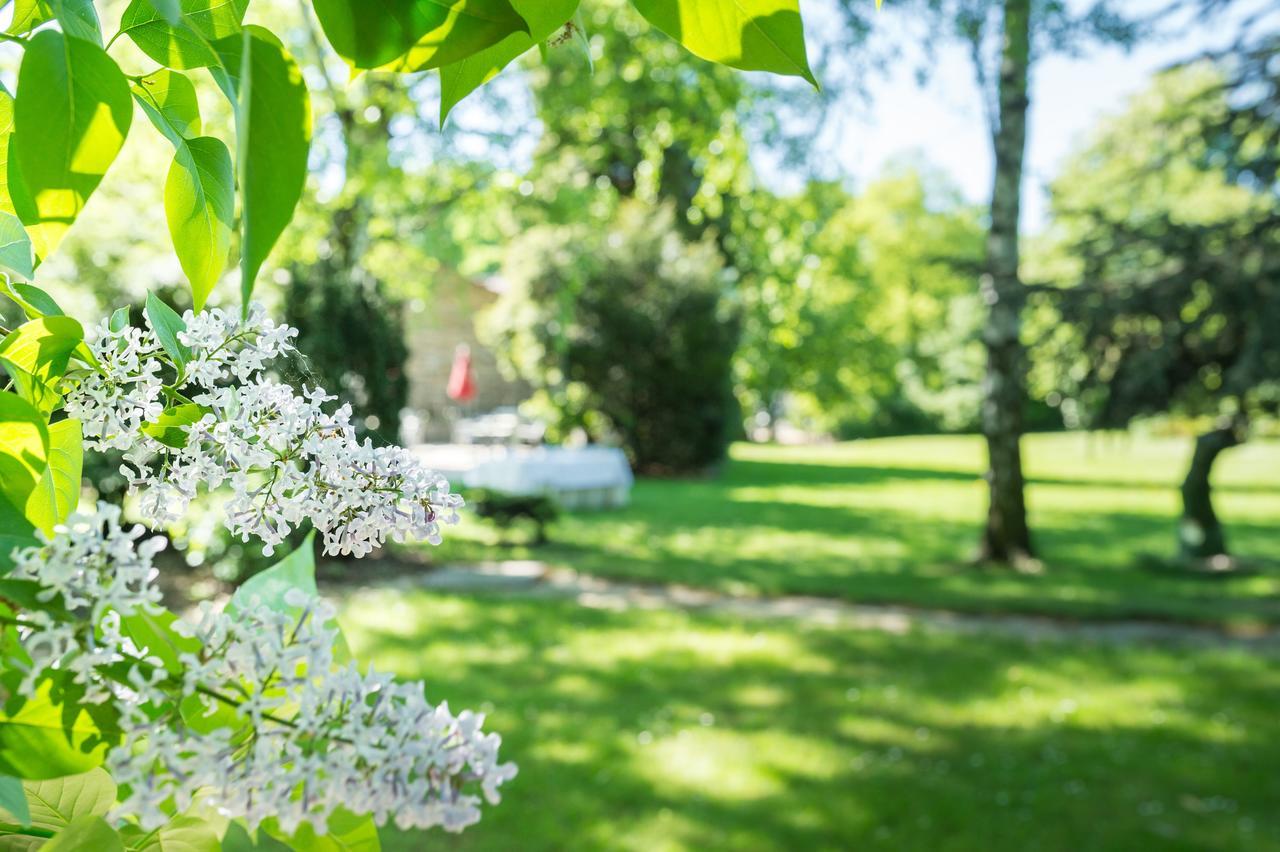 Parkhotel Stadtallendorf Zewnętrze zdjęcie